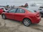 2005 DODGE Neon