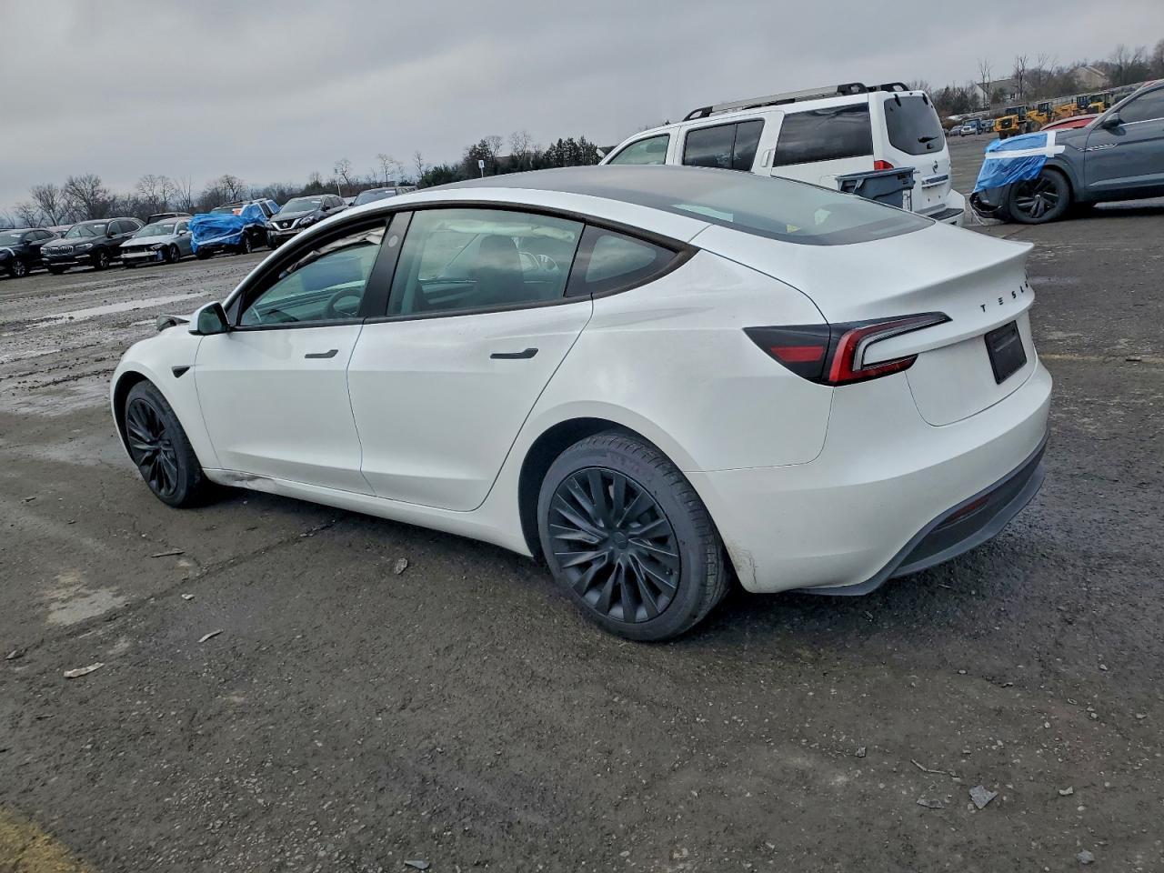 2025 TESLA MODEL 3