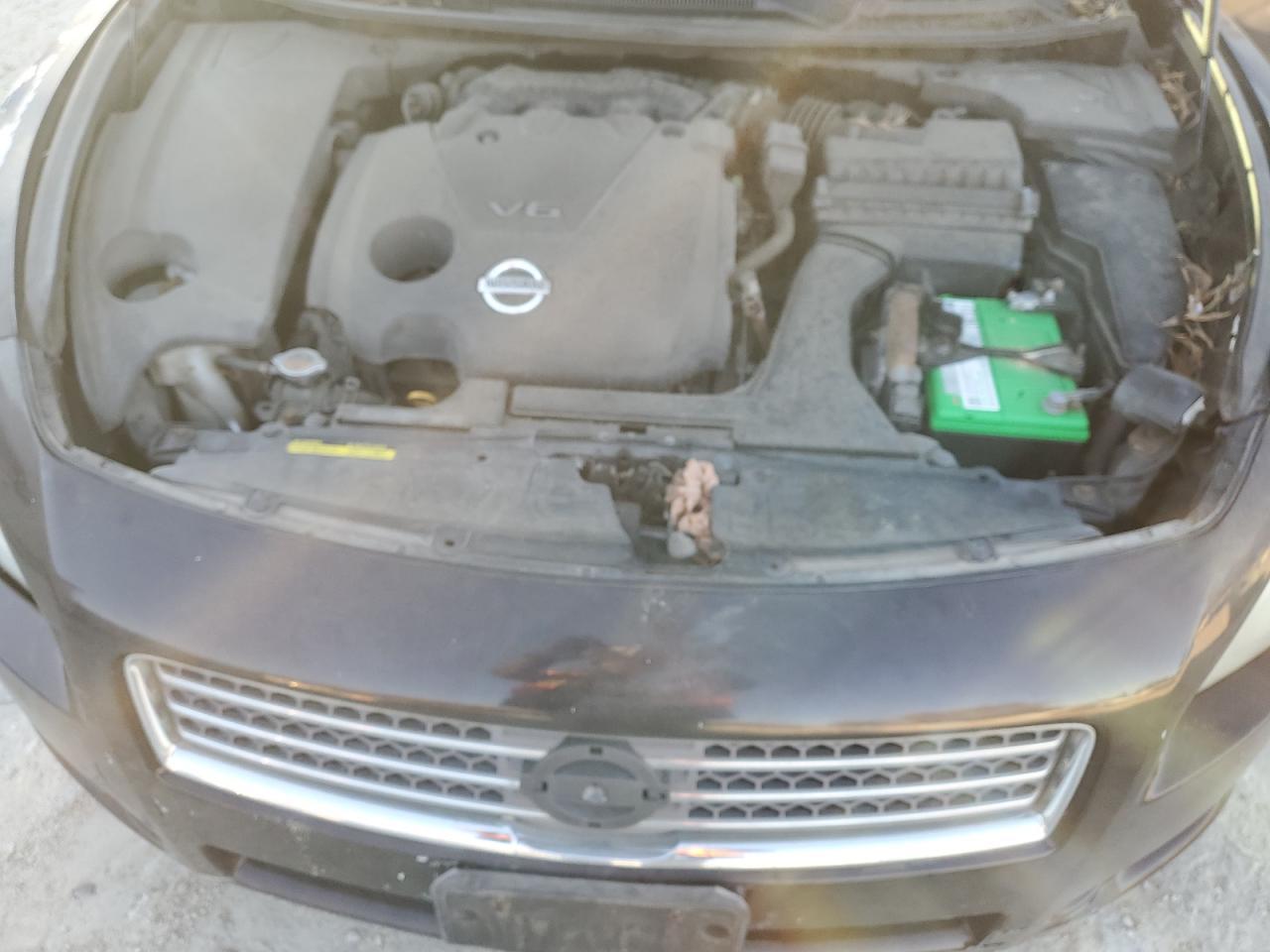 2010 NISSAN Maxima