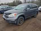 2011 HONDA CR-V