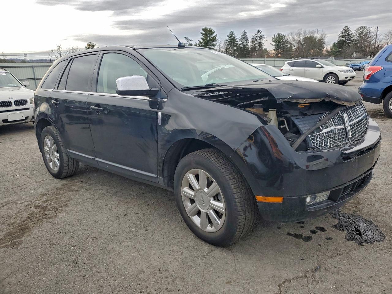 2008 LINCOLN MKX