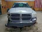 2005 DODGE Dakota