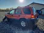 2006 FORD ESCAPE