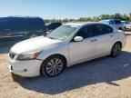 2009 HONDA ACCORD