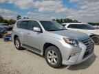 2014 LEXUS GX 460