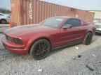 2006 FORD MUSTANG