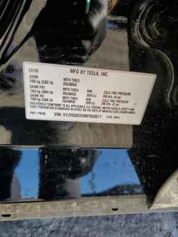 2021 TESLA MODEL Y