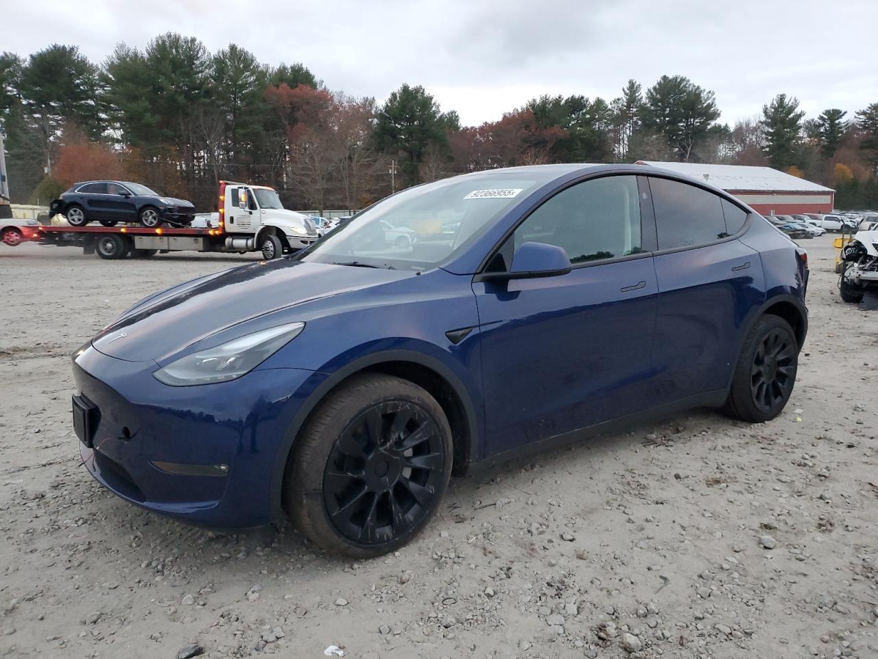2024 TESLA MODEL Y