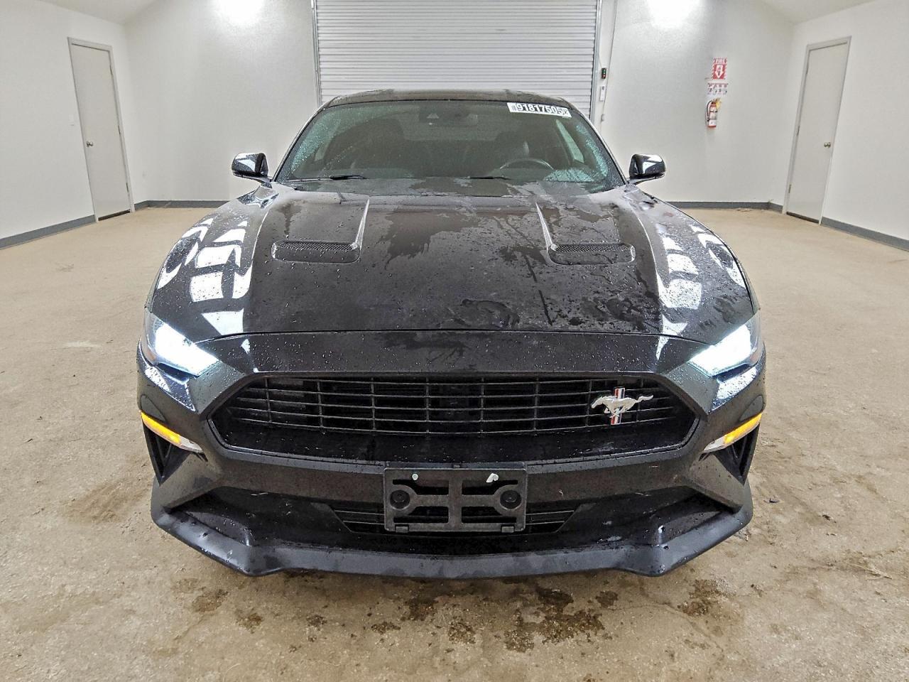 2019 FORD MUSTANG