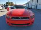 2013 FORD MUSTANG