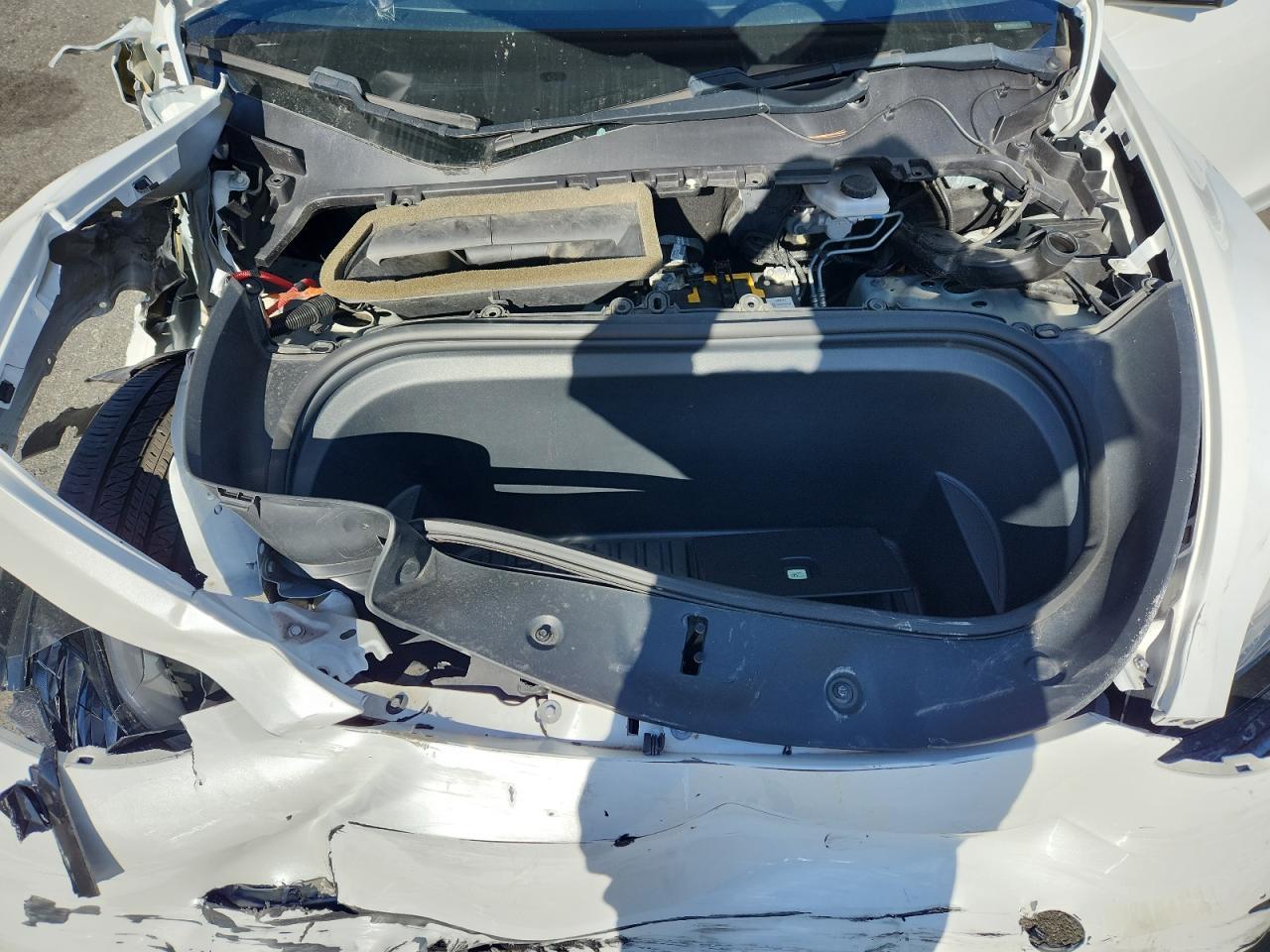 2020 TESLA MODEL Y