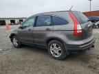 2010 HONDA CR-V