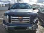 2009 FORD F-150