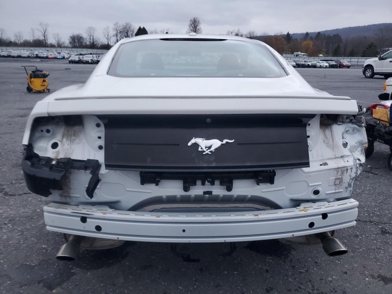 2019 FORD MUSTANG