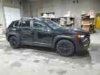 2024 MAZDA CX-50