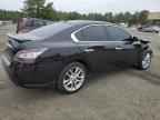 2013 NISSAN Maxima