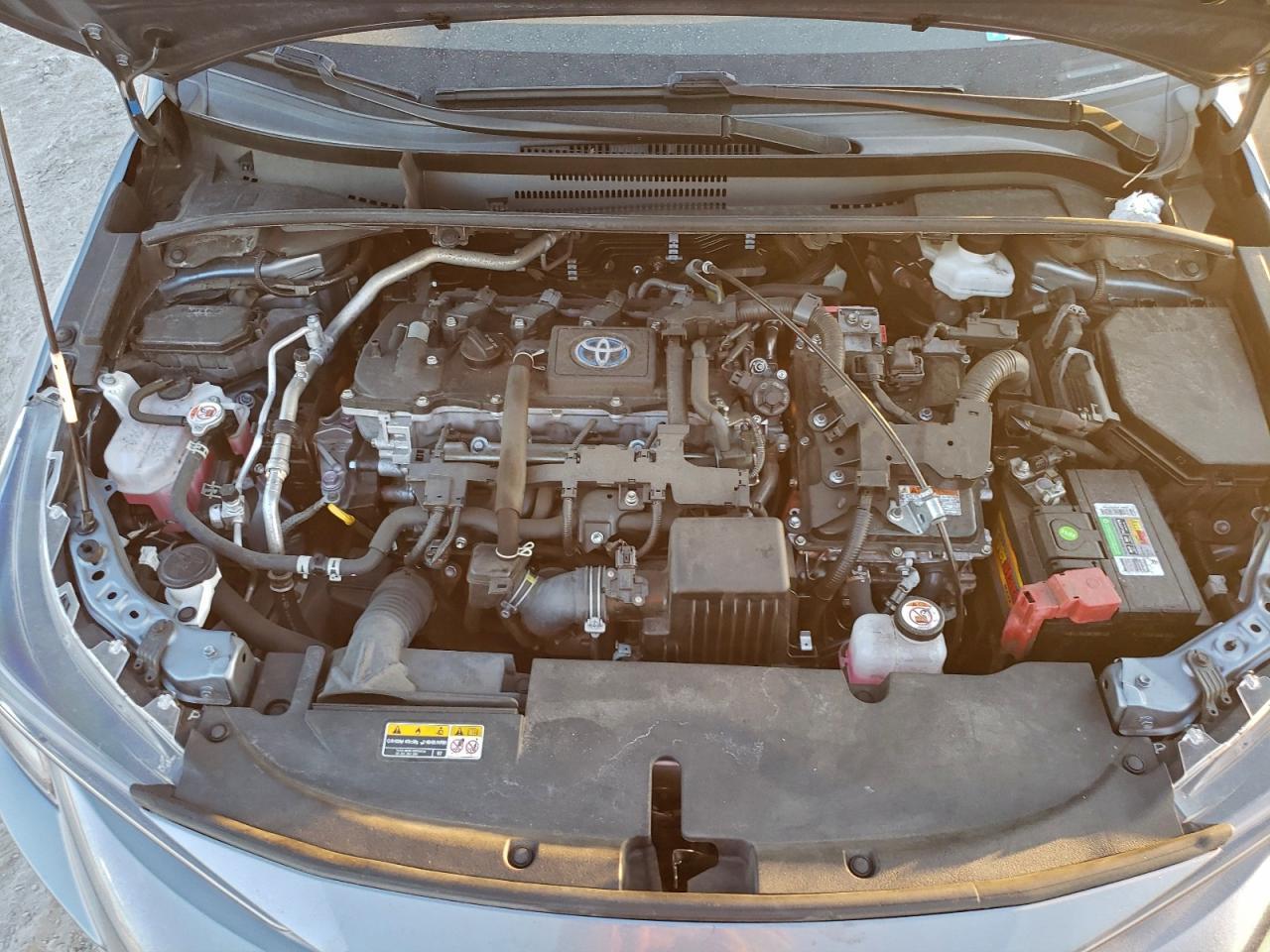 2023 TOYOTA COROLLA