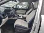 2025 KIA Carnival