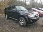 2009 FORD ESCAPE