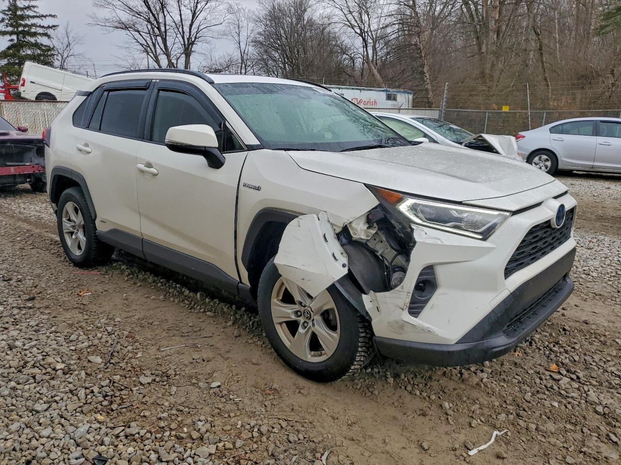 2019 TOYOTA RAV4