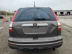2010 HONDA CR-V