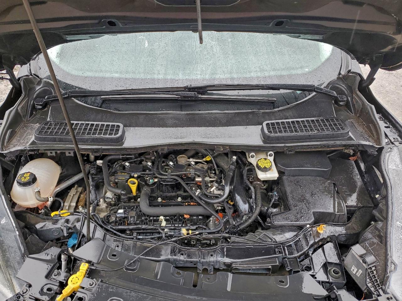 2019 FORD ESCAPE