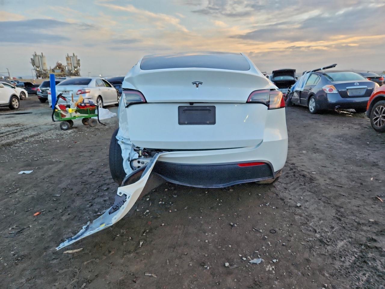 2024 TESLA MODEL Y