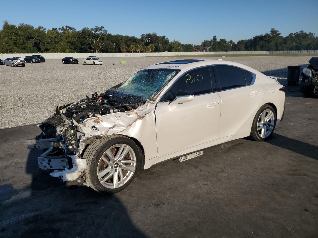 2024 LEXUS IS 300