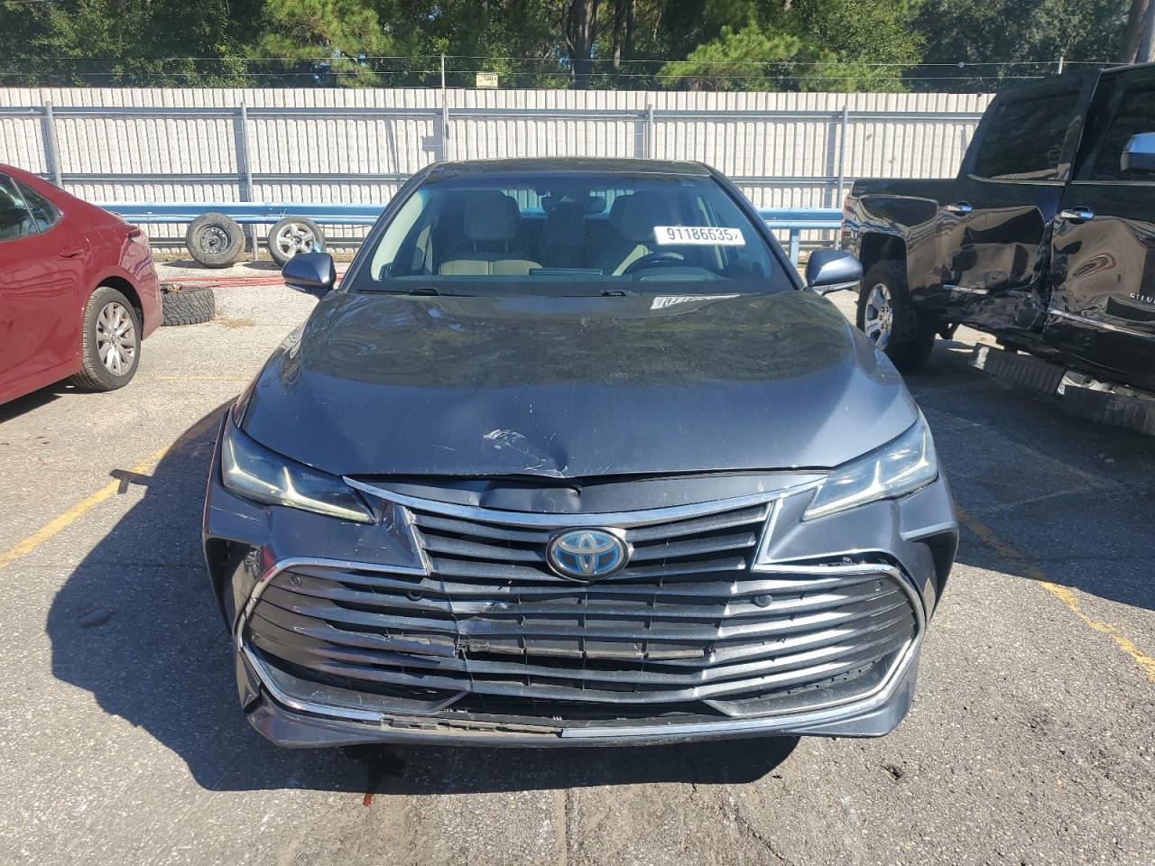 2019 TOYOTA Avalon