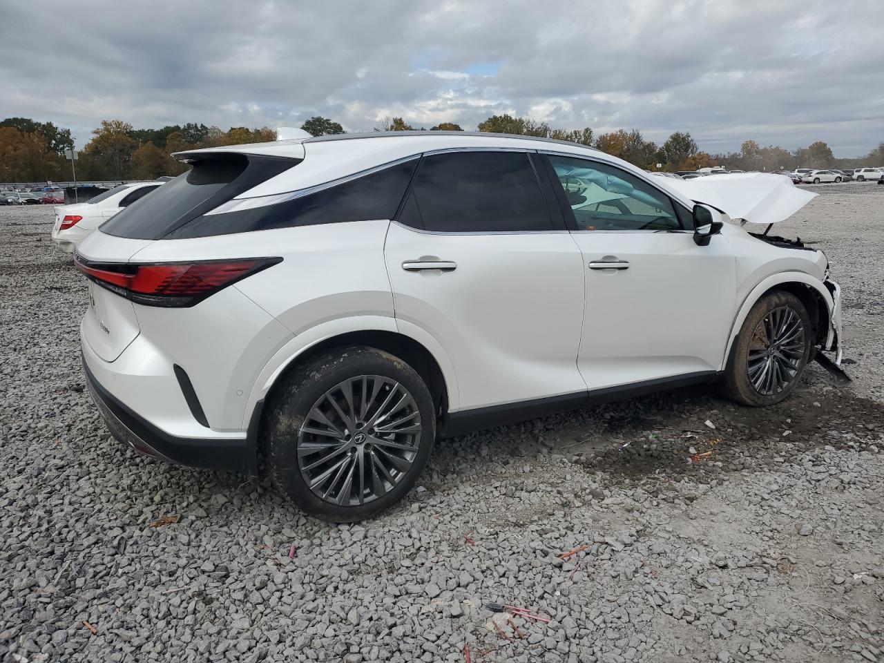 2024 LEXUS RX 350