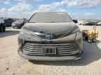 2023 TOYOTA SIENNA