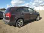 2011 KIA SORENTO