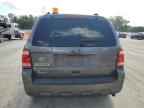 2010 FORD ESCAPE