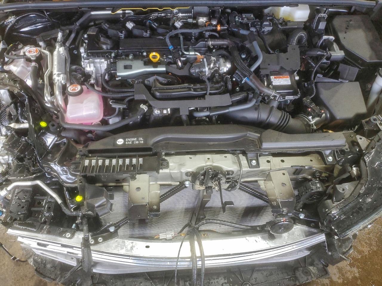 2025 TOYOTA PRIUS