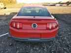2010 FORD MUSTANG