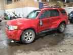 2009 FORD ESCAPE