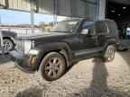 2010 JEEP Liberty