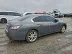 2014 NISSAN Maxima
