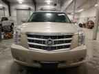 2011 CADILLAC ESCALADE