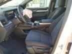 2025 GMC Terrain