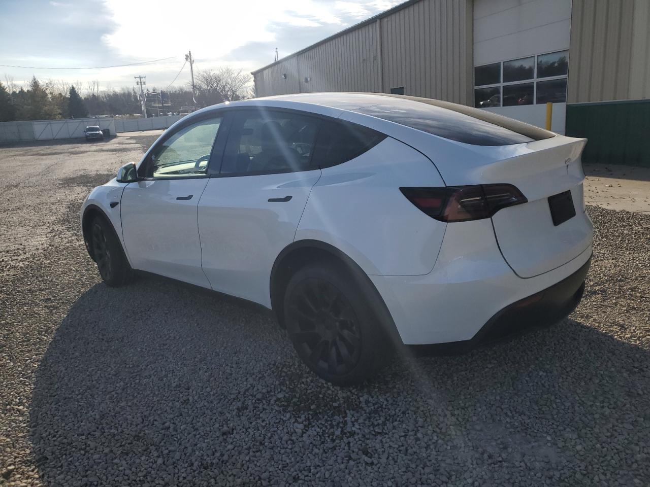 2025 TESLA MODEL Y