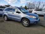2007 HONDA CR-V
