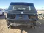 2023 HONDA Passport