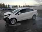 2013 KIA RIO