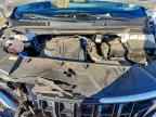 2024 KIA Carnival