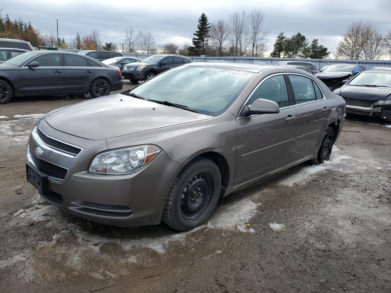 2011 CHEVROLET MALIBU