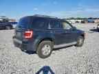 2010 FORD ESCAPE