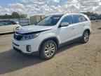 2014 KIA SORENTO