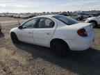 2000 DODGE Neon