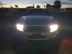 2013 FORD MUSTANG